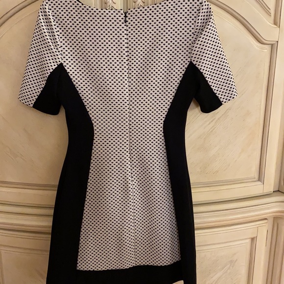 BCBG- Paris size 6 black and white mini dress - Picture 5 of 6